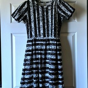 LulaRoe Amelia
